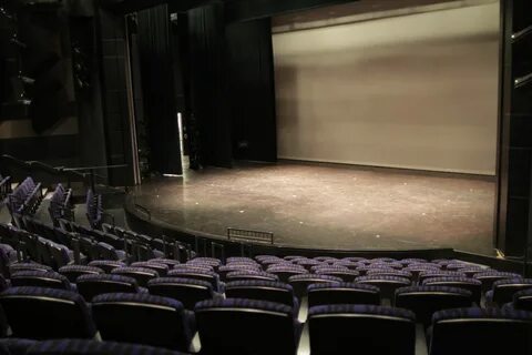 Performing arts cinema