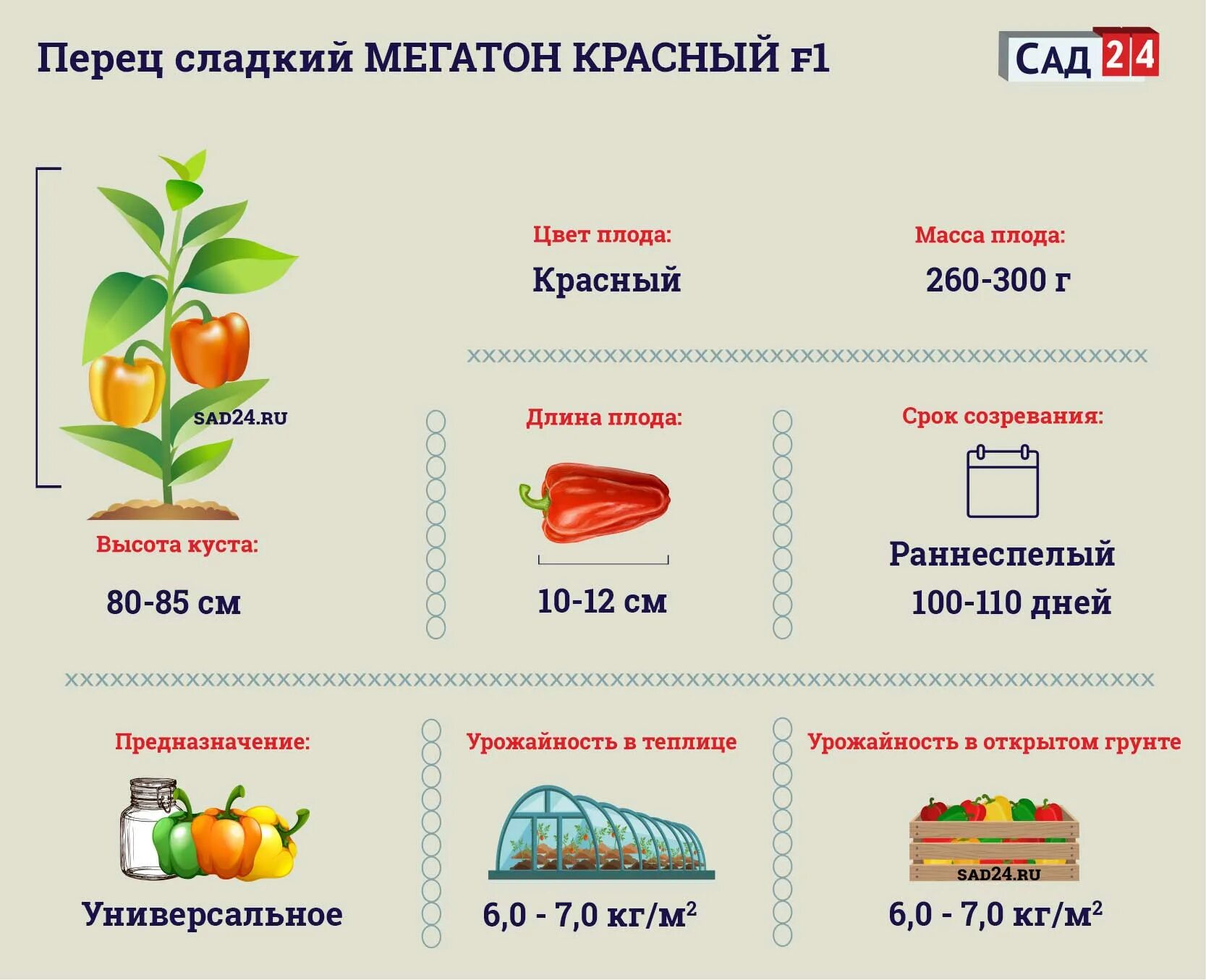 Перец мегатон отзывы фото. Перец сладкий аристотель f1. маршал жуков f1 перец сладкий. маршал жуков перец сладкий. перец мегатон красный f1.