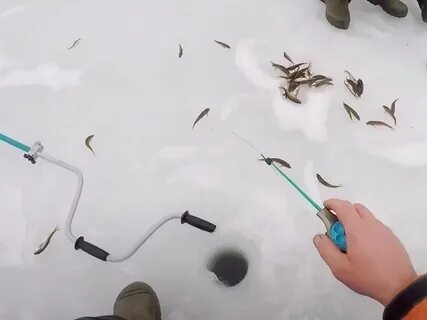 Что можно ловить зимой