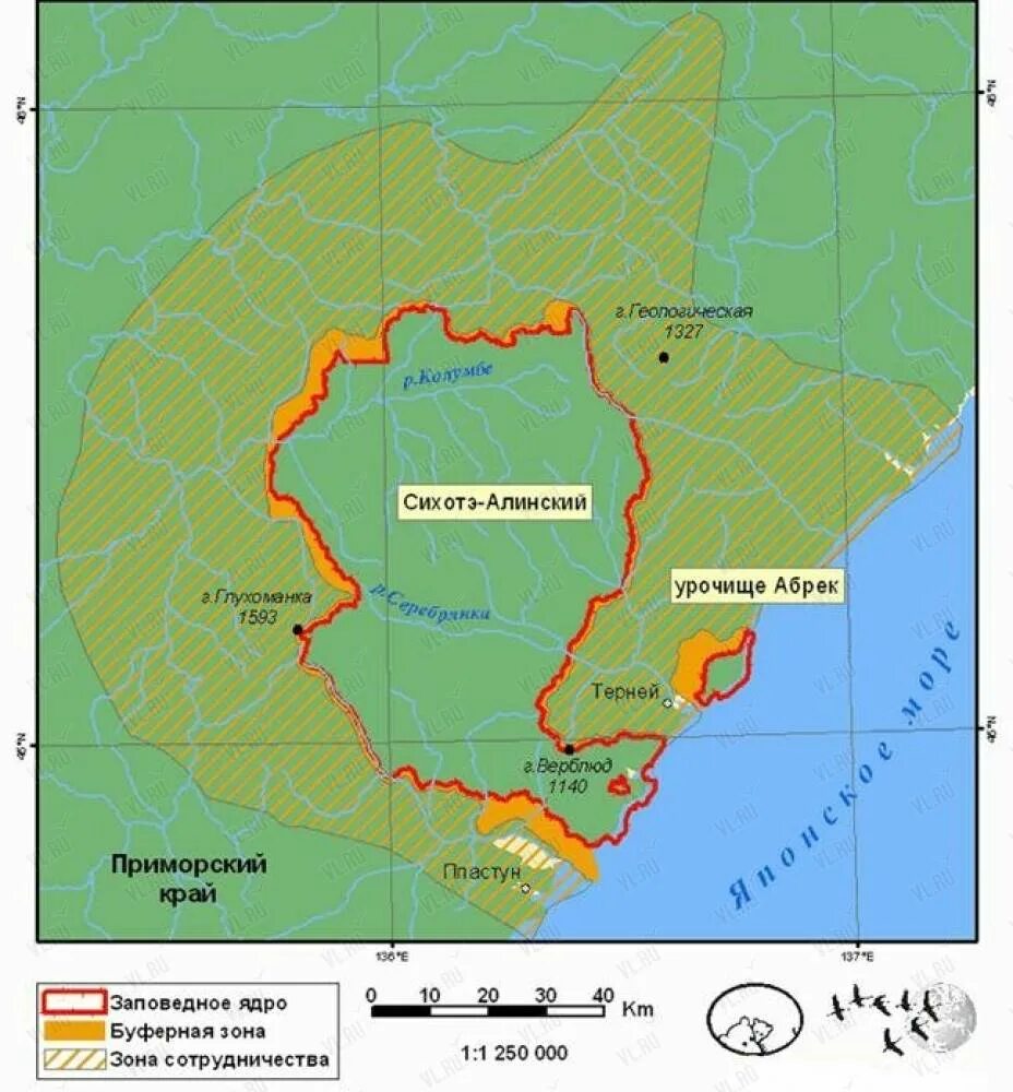 Хребет сихотэ-алинь на карте россии физической. Сихотэ-алинский хребет на карте. Сихотэ алинь заповедник на карте. Уссурийский заповедник кедровая падь. Сихотэ-алинский государственный заповедник 1935 на карте.