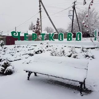 Сера ростов