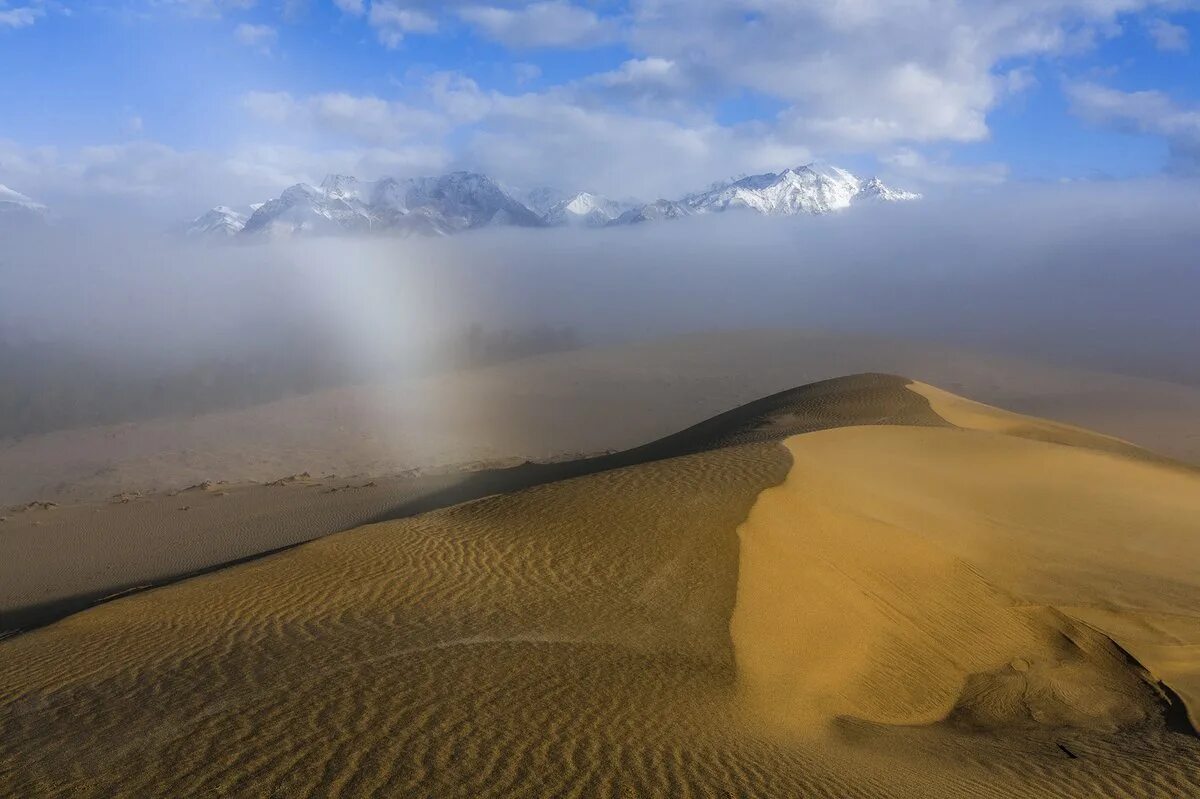 Пустыня сахара северная африка. Пустыня сахара (sahara desert). Кодар чарская пустыня. Пустыни африки сахара. Пустыня на н.