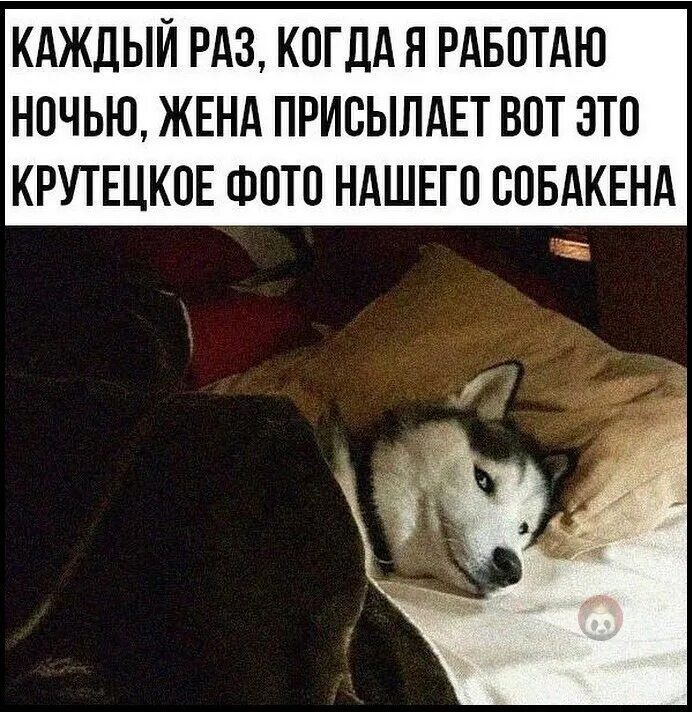 Уставший человек в офисе. Страстный вечер. Женщина с ноутбуком дома кадр из фильма. Жена работает ночью. Работает ночью.