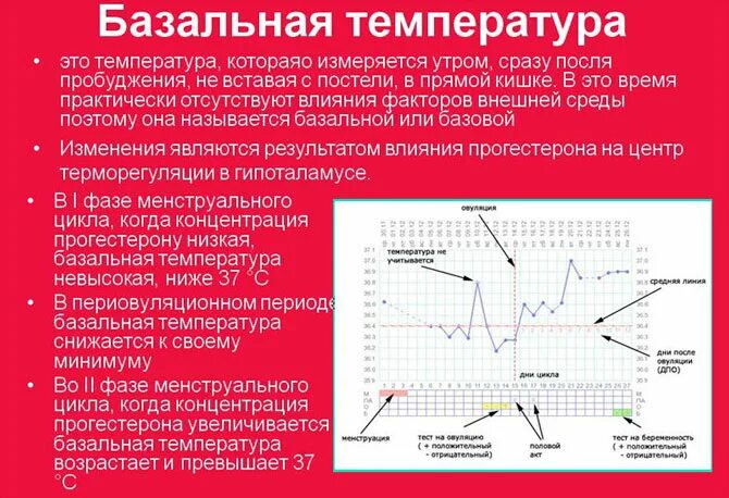 Поднимается температура перед. График Кривой базальной температуры. Метод определения базальной температуры. Измерение базальной (ректальной) температуры. Измерение базальной температуры производят для определения.