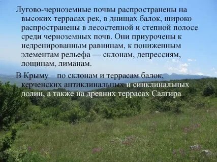 Черноземно луговых почв