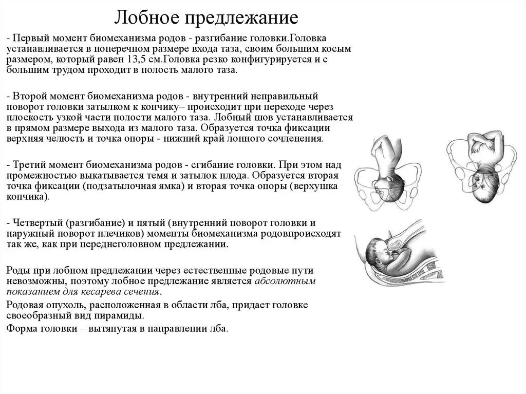 Первое предлежание плода. Биомеханизм при лобном предлежании. Лобное предлежание биомеханизм родов. Биомеханизм родов при лобном предлежании. Механизм родов при лобном предлежании.