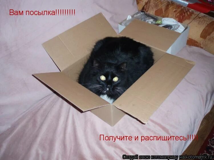 Афоризмы про новоселье. Открытка с переездом в другой город. Про переезд в другой город и новую жизнь. Креативная реклама грузоперевозок. Переезд прикол.