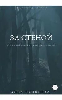 За стенкой 2