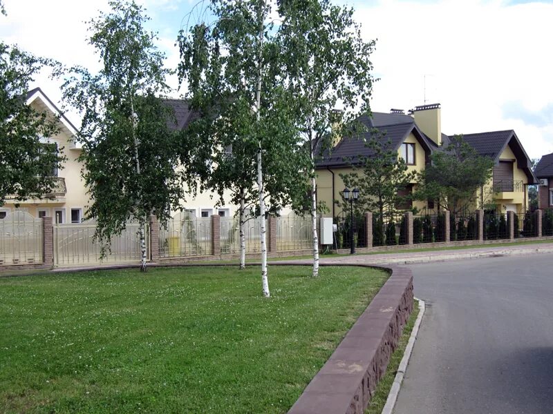 коттеджный поселок кедры истринский район. поселок кедры. поселок кедр московская область. поселок кедровое школа. поселок кедры.