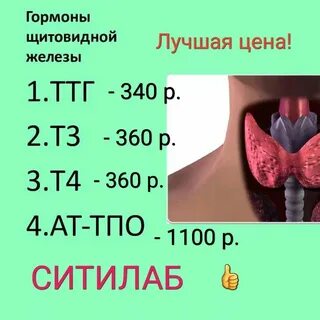 Когда сдавать т3 т4 ттг