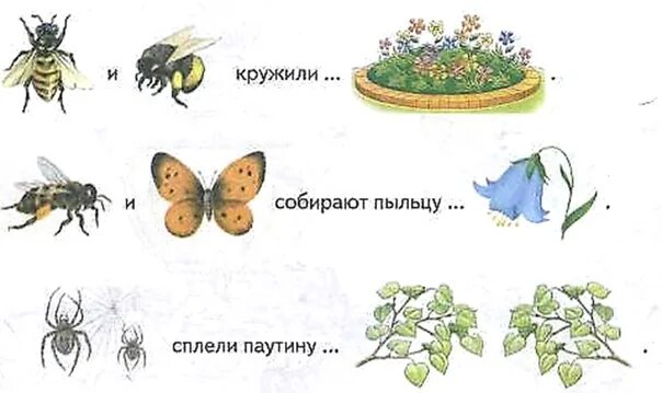 Развитие речи на тему насекомые. Насекомые логопедические задания для дошкольников. насекомые задания логопеда для дошкольников. лексическая тема насекомые теремкова. логопедическая тема насекомые.