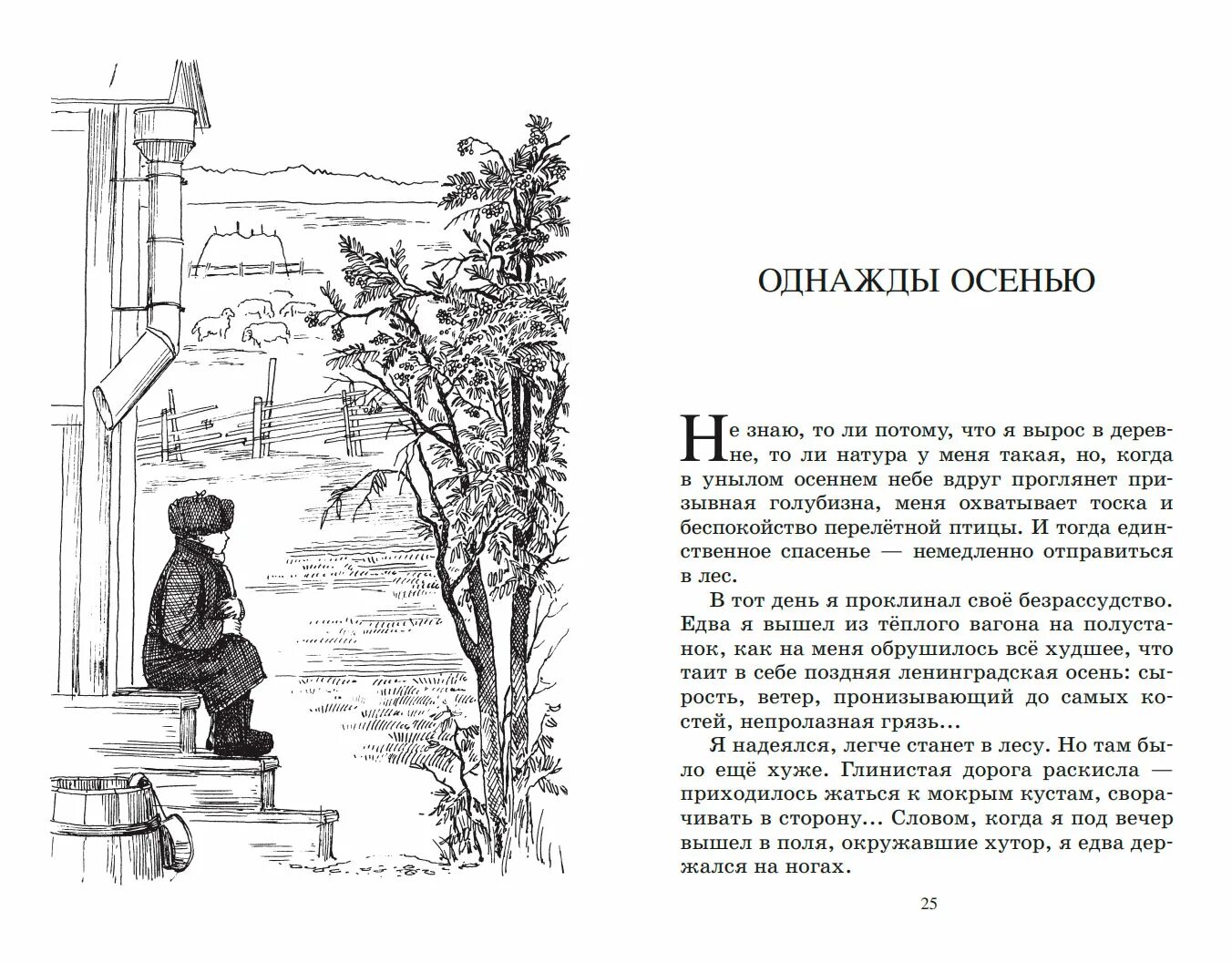 Рассказы без остановки. Носов рассказы. В. Рассказы без остановки. Осеева сыновья рассказ сыновья.