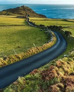 The wind road