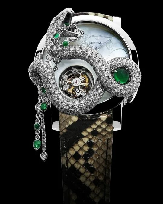 Watch snake. Часы Бушерон. Бушерон часы женские. Бушерон ювелирные изделия змея. Бушерон часы мужские.