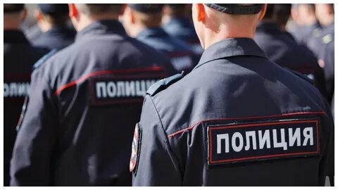 Чем занимаются сотрудники полиции