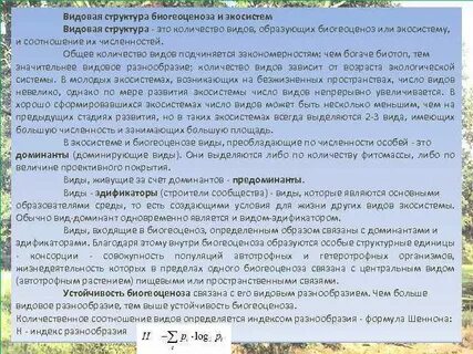 Анализ видового состава