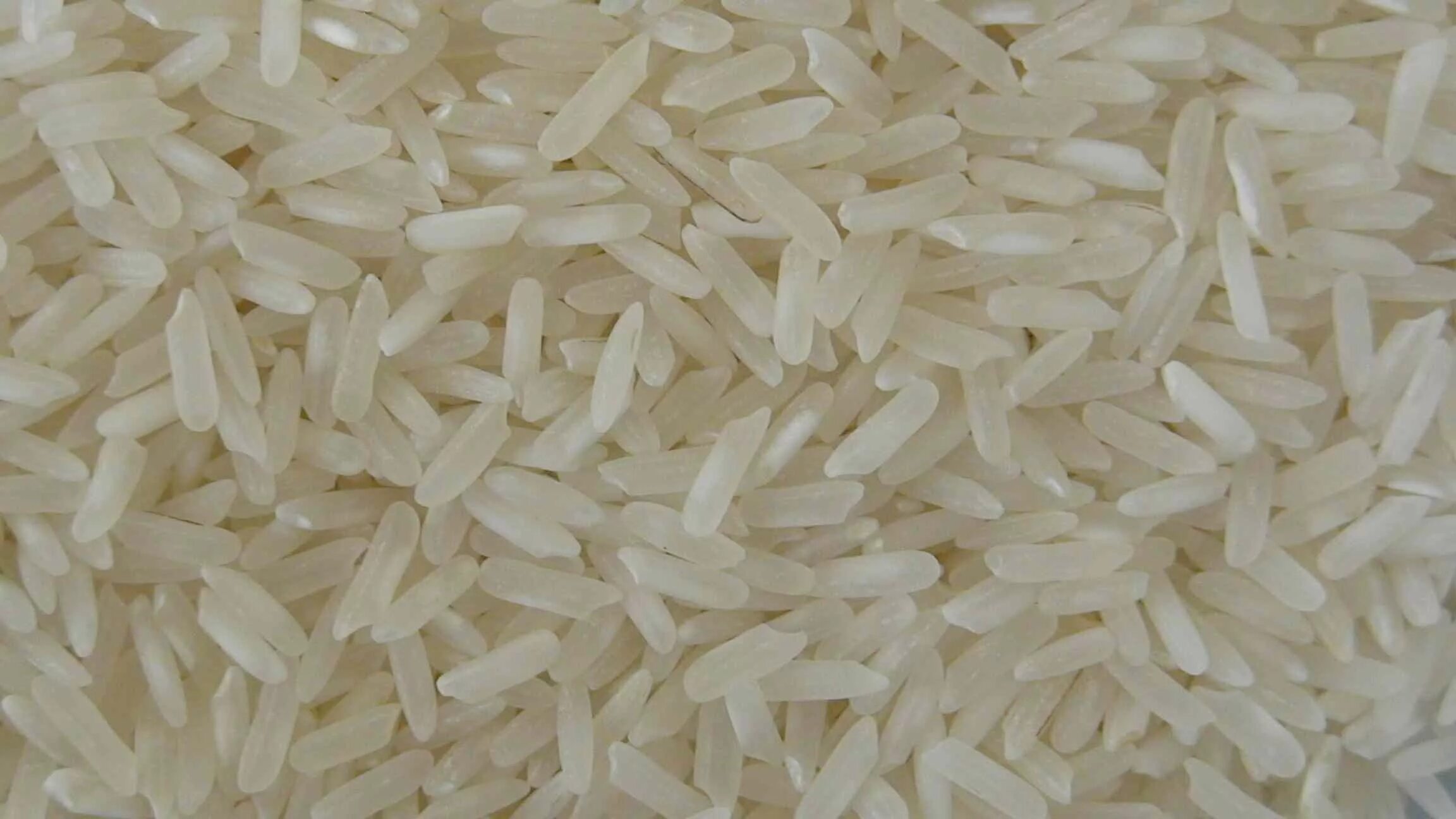 Сломанная риса. Сломанная риса. Рис сечка. Американский рис. Uz rice.