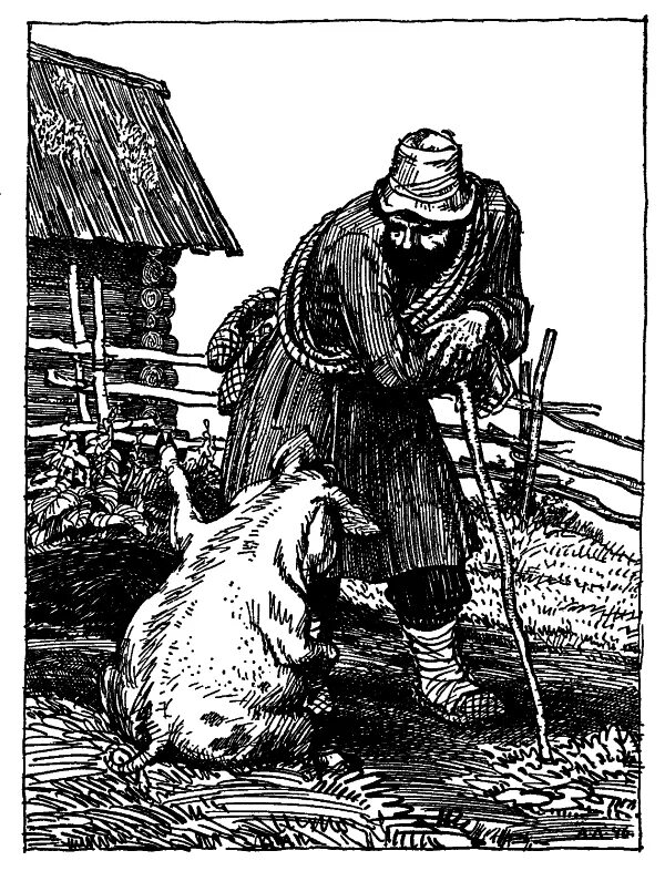 Волк и свинья басня. Волк и свинья басня