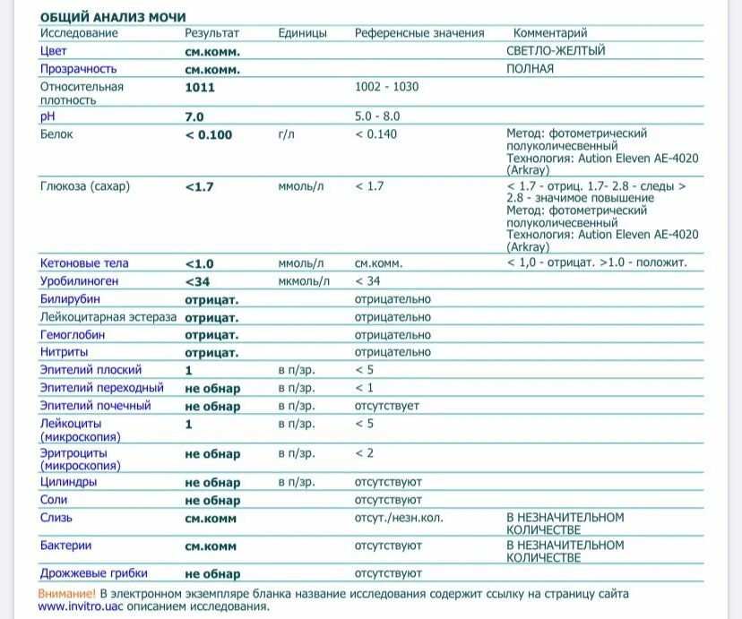 Общий анализ мочи с микроскопией. Оксалаты в моче норма у женщин. Общий анализ мочи оксалаты. Анализ мочи микроскопия норма. Моча слизь 3