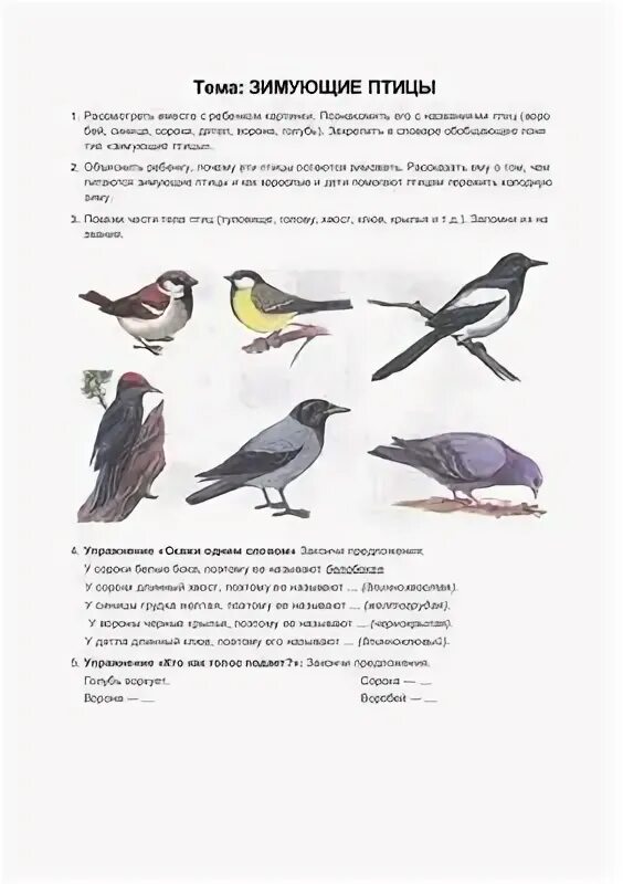 Домашнее задание зимующие птицы старшая группа. Теремкова зимующие птицы задания. теремкова зимующие птицы. тема зимующие птицы теремкова. логопедические задания зимующие птицы теремкова.