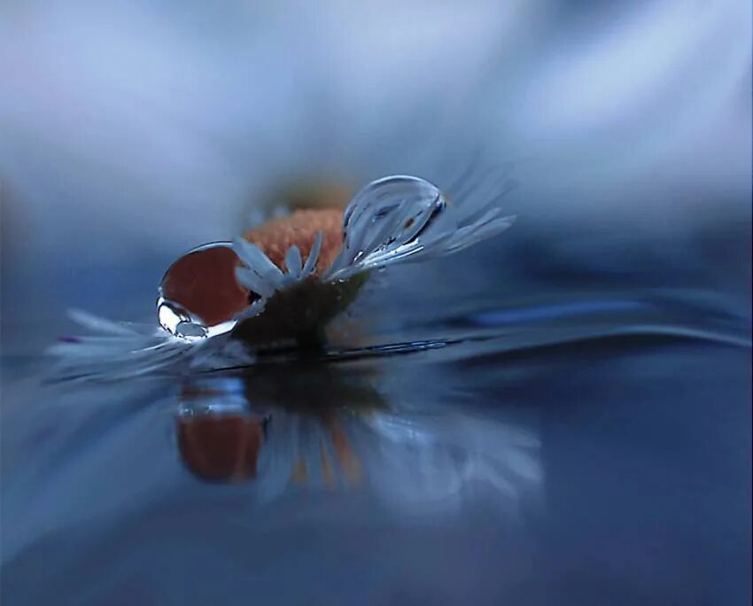 Красивые мгновения. Остановись, прекрасное мгновение. Закат жизни. Мгновения красоты. Нежность природа.