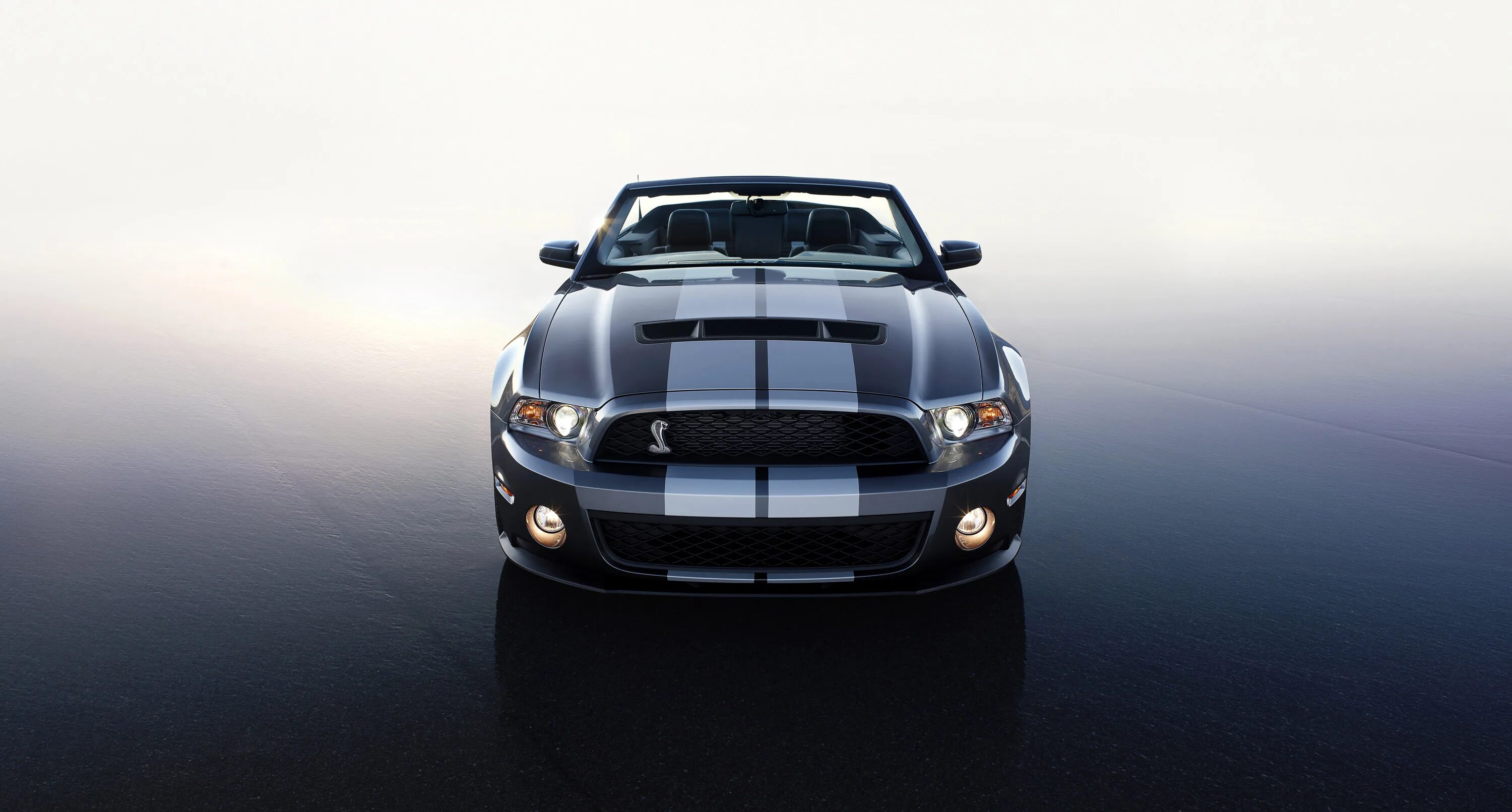 Forza Horizon 4 Toby Marshall Ford Mustang Shelby GT500 2013 S2 Class 936Pi Need