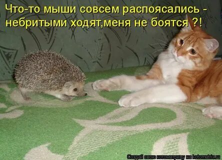 Хорошо что он такой