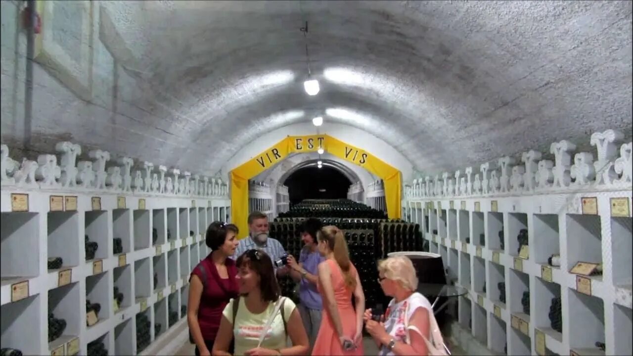 Новый свет шампанское экскурсии. Дегустационный зал новый свет. Коктебель пино фран. Новый свет шампанское экскурсии. Новый свет шампанское экскурсии.