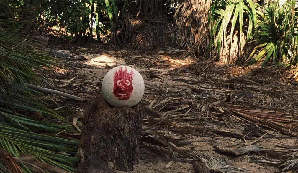 Мужчина остров мяч. Том хэнкс на острове мяч wilson. Том хэнкс и мяч уилсон. Мужчина остров мяч. Мужчина остров мяч.