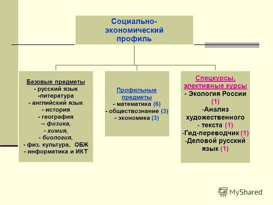 Социальная экономика профиль