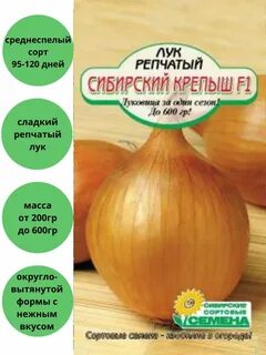 Лук сибирский описание