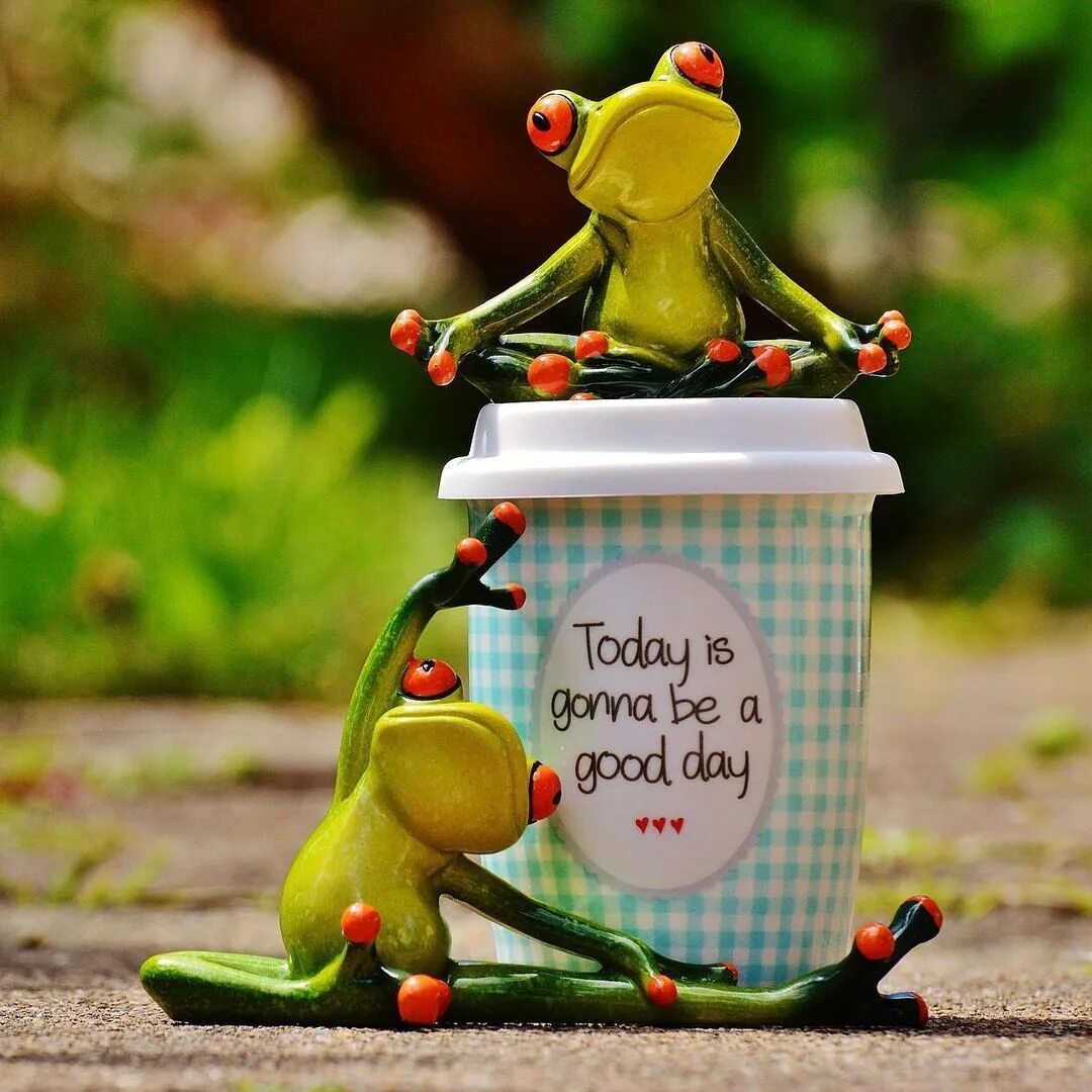 Good best to make today. Today is the best Day. Good Day today. Today is a good Day. Good Day надпись.