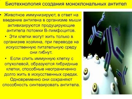 Все способны к