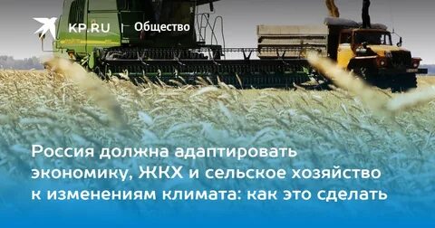 Хозяйство хорошо живем