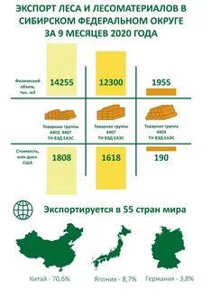 Крупнейший порт по экспорту древесины
