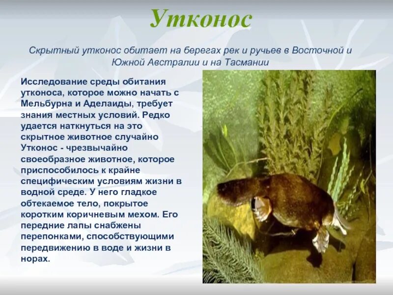Редко удается