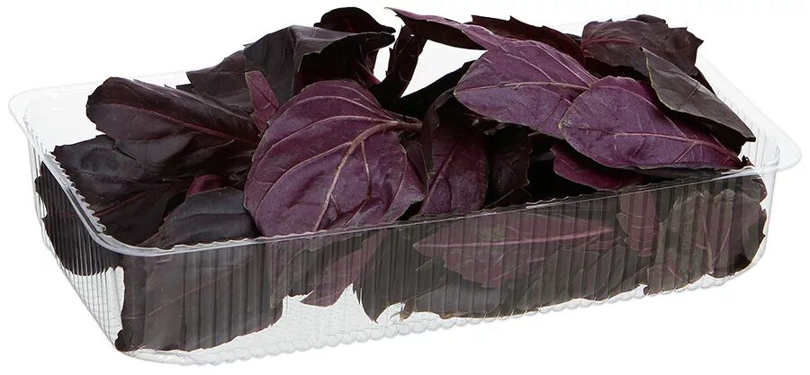 Базилик пятерочка. Базилик пятерочка. Индана приправа базилик сушеный. Базилик пятерочка. Dolmio соус пятерочка.