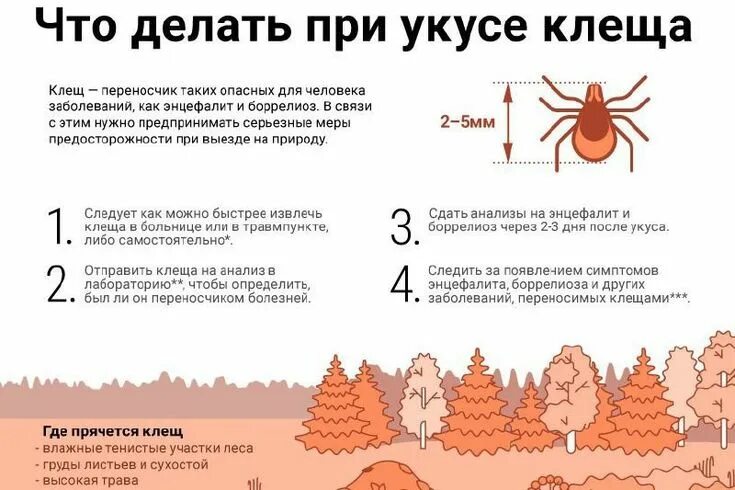 Укус клеща как выглядит лечение Если собаку укусил клещ