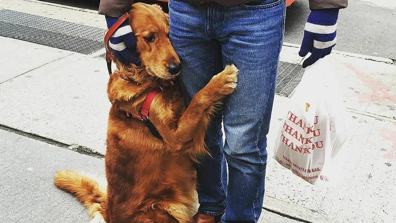 Около хозяев