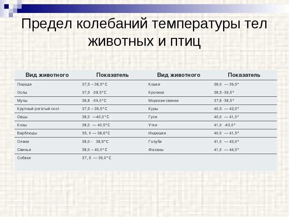 Температуру в пределах от 5. Температура тела домашних животных таблица. Температура тела у животных таблица нормальная. Нормы температуры тела у животных таблица. Температура животных в норме таблица.