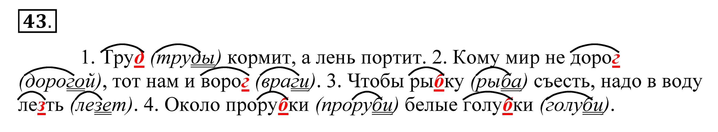 Русский язык 5 упражнение 43. Русский язык 5 класс рыбченкова упражнение 354. Проверьте выделенные орфограммы и запишите пословицы. Русский язык 5 класс рабочая тетрадь ефремова 127. Упражнения 43 по русскому языку 5 класс.