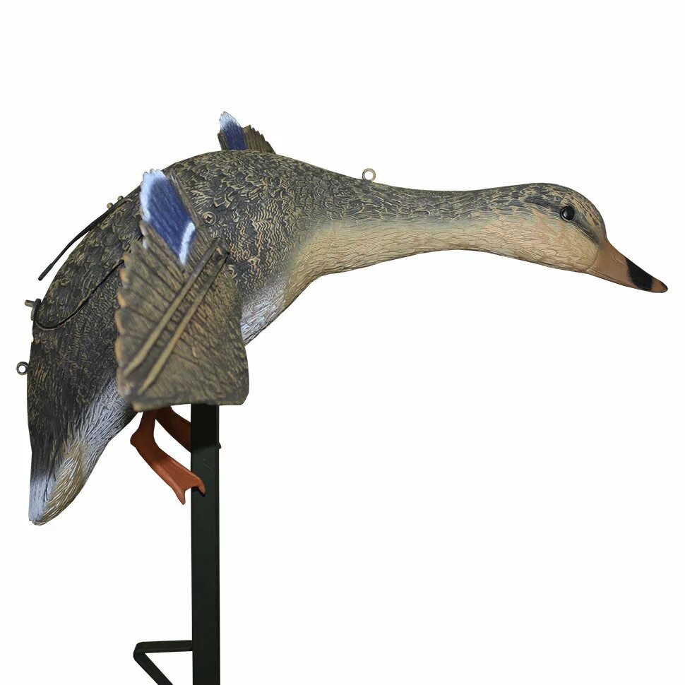 Макет чучела. Заславский таксидермия. Чучела белолобого гуся серии lc 940. Полевые чучела уток гринхед. Муляж утки sport plast sfld 02 mg кряква машущая крыльями с мотором.