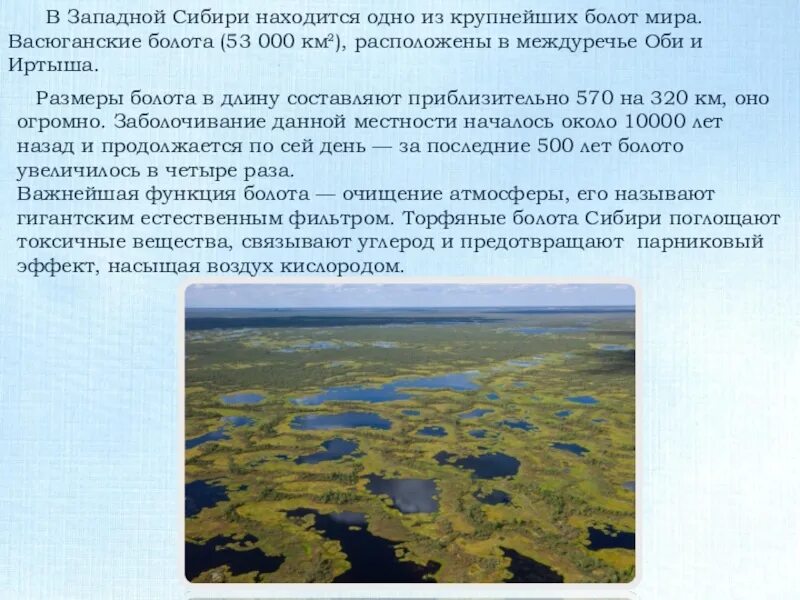 Где находится болотное. Большое Васюганское болото на карте России. Васюганские болота заповедник на карте. Васюганские болота Томская. Васюганские болота заповедник на карте России.