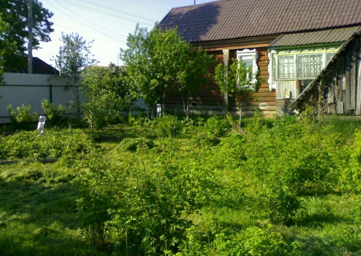Смердомский вологодская область. Авито сазоново. Графский дом сазоново. Сазоново вологодская область. Сазоново ленинградская область.