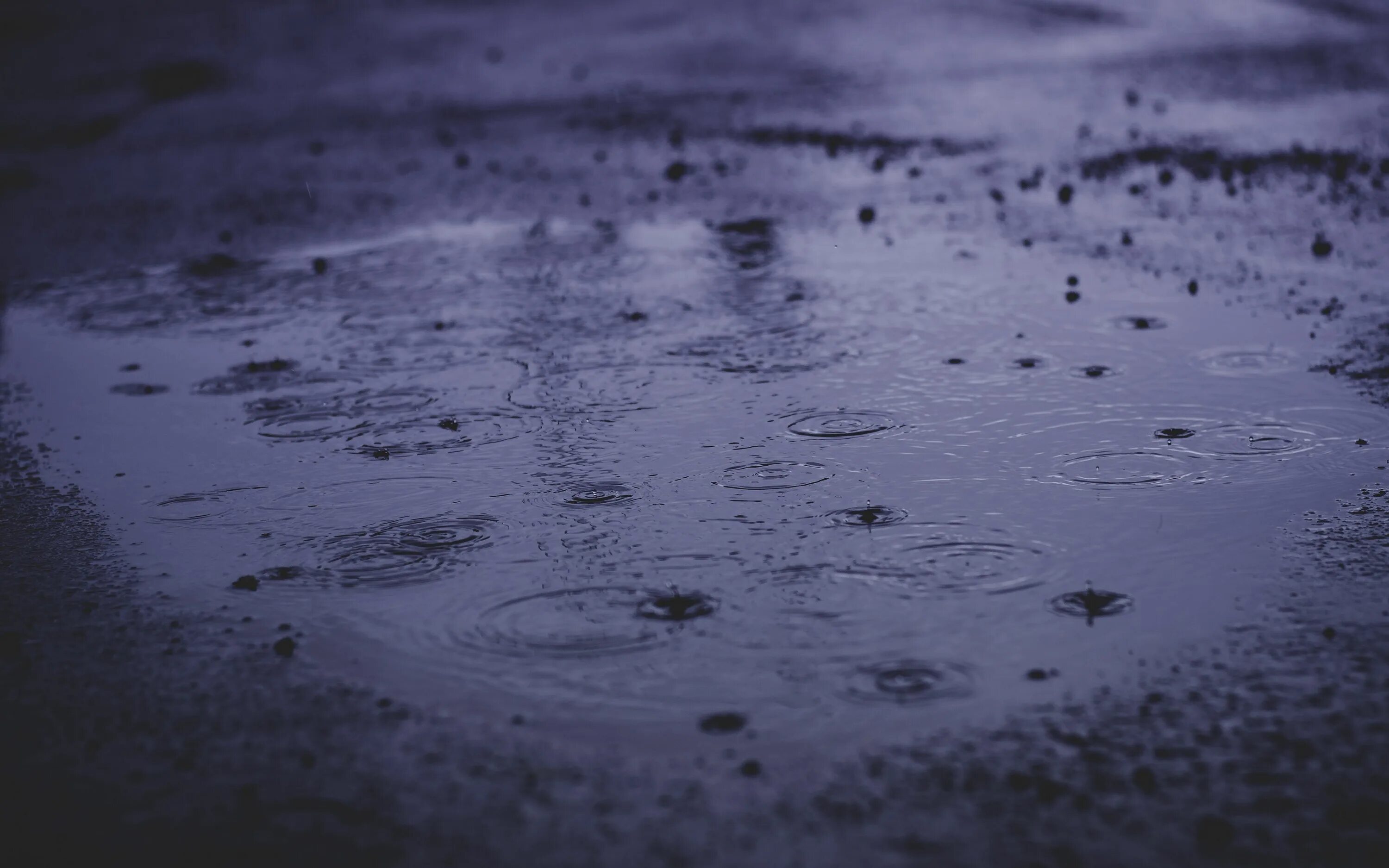 Везде лужи воды. Дождь лужи. Лужица воды. Лужи на асфальте. Вода на асфальте.