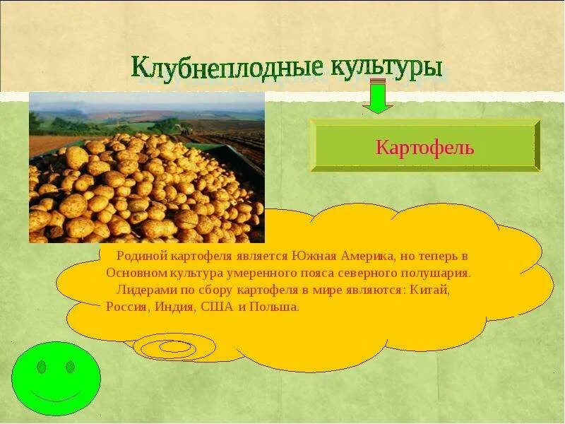 Родиной какого растения является китай. Родиной картофеля является. клубнеплодные культуры. родиной каких культур является южная америка.