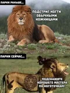 Приколы сейчас
