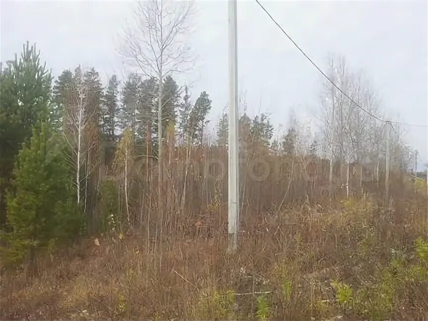 Ракомское сельское поселение. 65 высоковск. Шахматка днп славный. Почвы иркутска. Поселок славный иркутск.