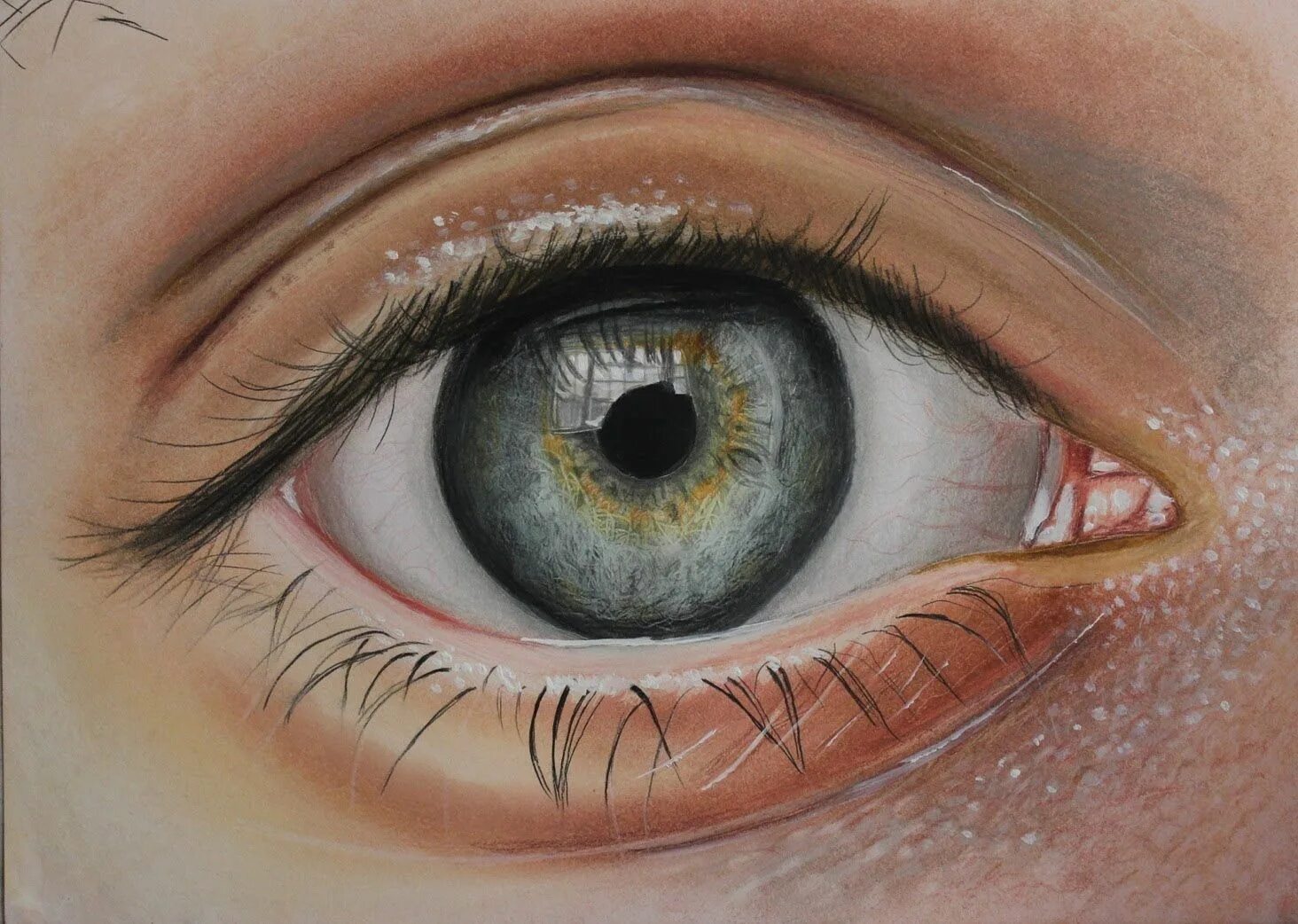 Eye search