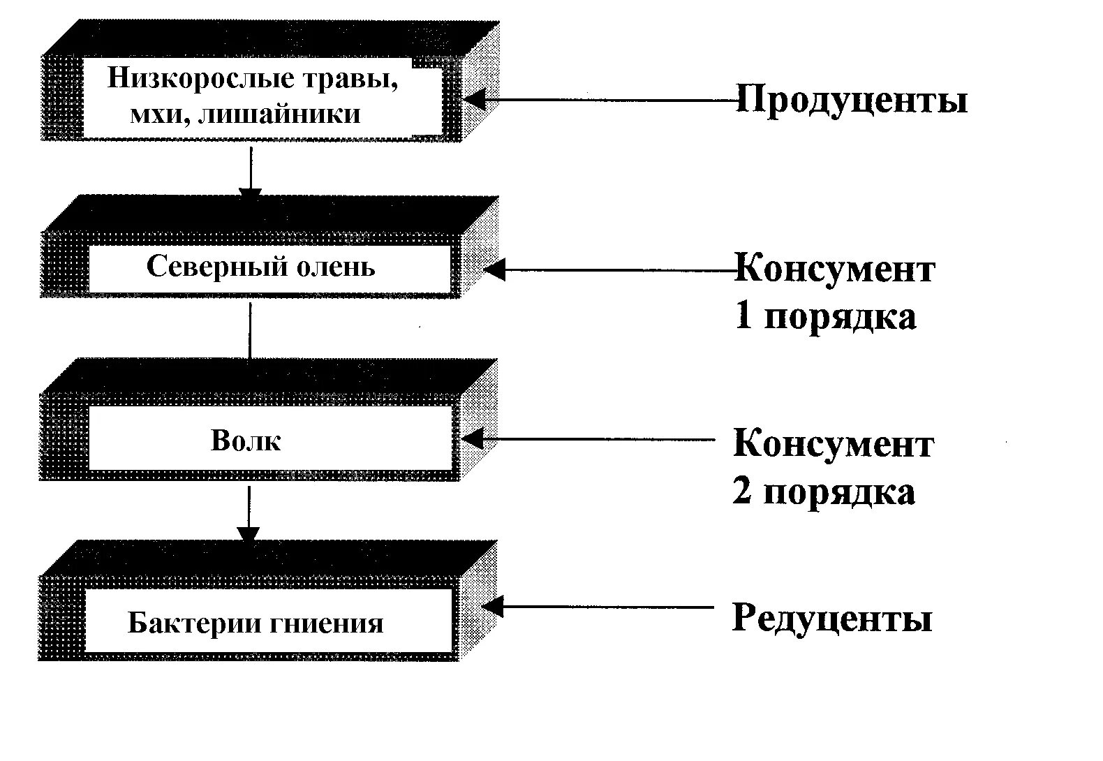 Продуцент консумент 1 порядка консументы 2 порядка редуценты. Консументы продуценты редуценты 1 2 3 порядка. Продуценты 2) консументы 3) редуценты. Продуценты консументы редуценты таблица с примерами.